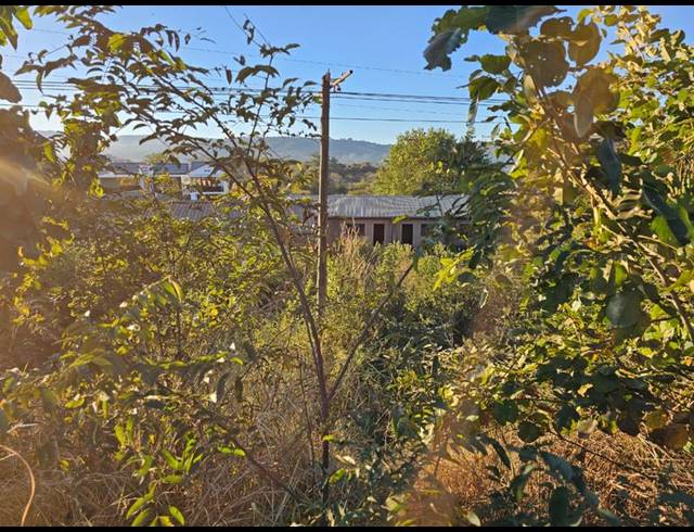 BUSINESS FOR SALE IN SHAYANDIMA